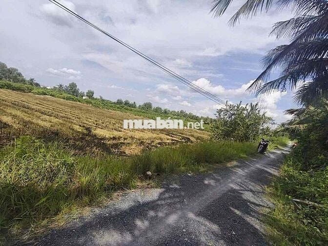 thổ cư , DT:175m2 , giá : 399tr , xã mỹ thạnh - thủ thừa - long an