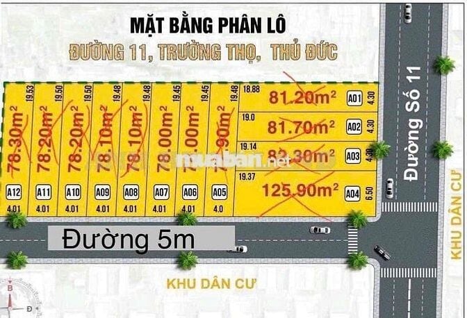 🚗 BÁN ĐẤT ĐƯỜNG 5M- SÁT MẶT TIỀN ĐƯỜNG SỐ 11 – P.TRƯỜNG THỌ – TP.THỦ Đ