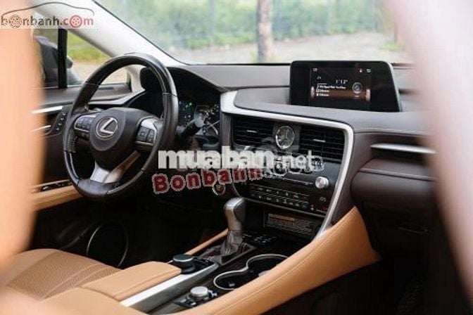 Lexus RX 300 2019