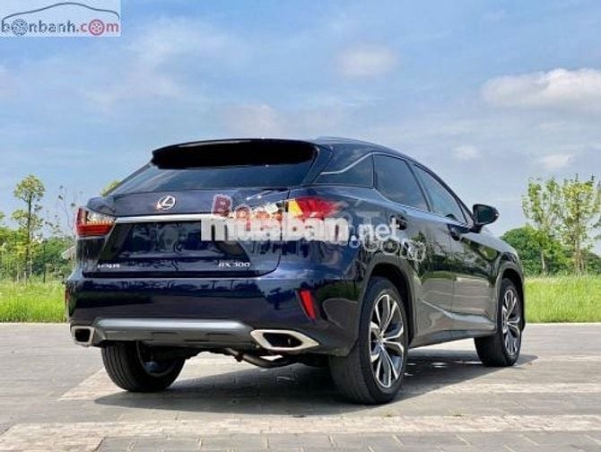 Lexus RX 300 2019