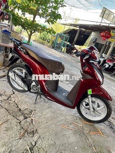 vison sieu đẹp zin mới tinh