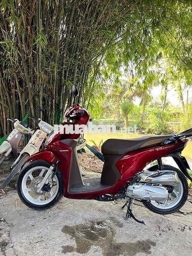 vison sieu đẹp zin mới tinh