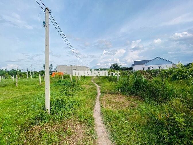 ĐẤT THỔ CƯ 5X38- 153 TC ngay KCN hiệp thạnh
