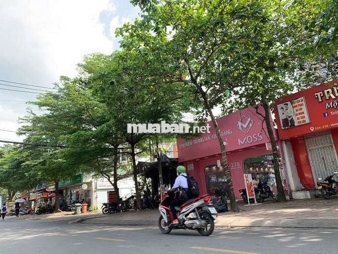 Mặt tiền LÔ GÓC VIEW CÔNG VIÊN sát đường lớn  Thủ Đức 100m2  chỉ 9 tỷ