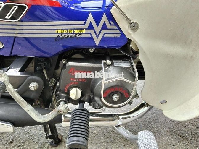 Cup 50cc bstp xe đẹp long lanh máy móc nguyên zin
