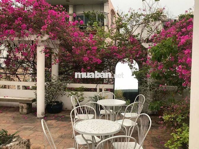 CHO THUÊ BIỆT THỰ CỔ SÂN VƯỜN TẠI QUẬN 3