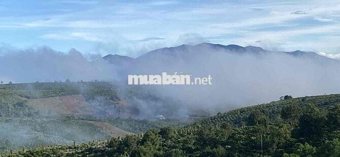 Chính chủ đất nền giá rẻ xã Tân Lâm huyện Di Linh