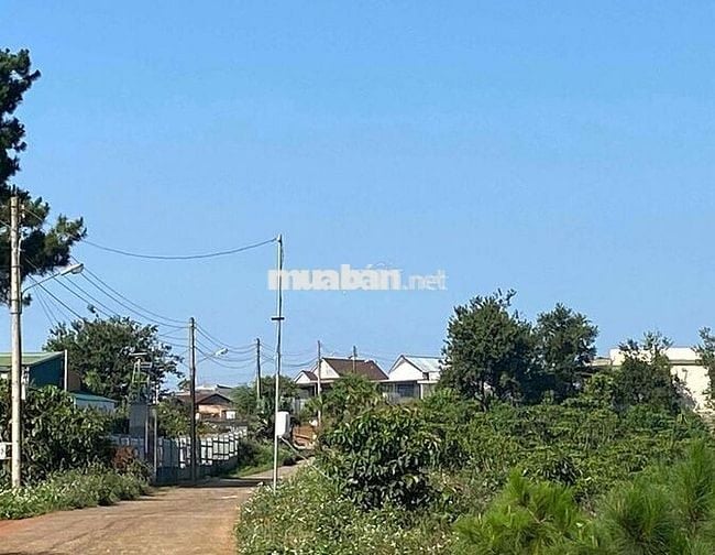 Chính chủ đất nền giá rẻ xã Tân Lâm huyện Di Linh