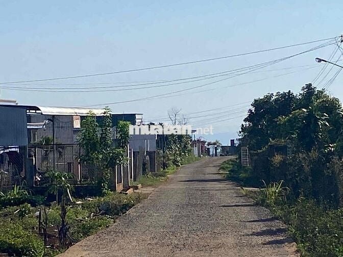 Chính chủ đất nền giá rẻ xã Tân Lâm huyện Di Linh