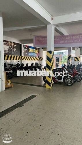 Bán tòa nhà CHDV dòng tiền 800tr/năm đất vàng Thủ Đức chỉ 29 tỷ