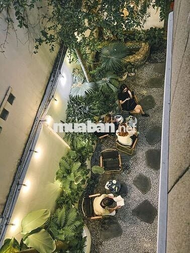 CHO THUÊ BIỆT THỰ CỔ SÂN VƯỜN TẠI QUẬN 3