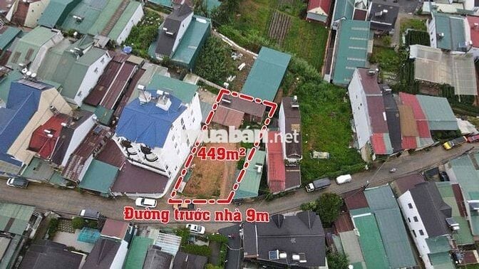 ĐẤT PHƯỜNG 6 ĐÀ LẠT– Không khí trong lành, Giá cực tốt