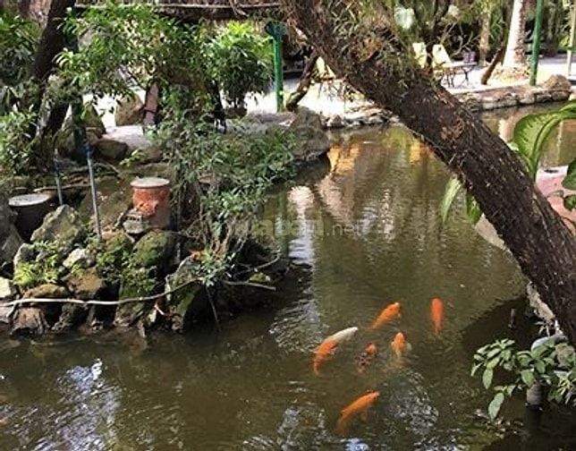 VIỆC LÀM PARTIME VÀ FULLTIME CHO SINH VIÊN