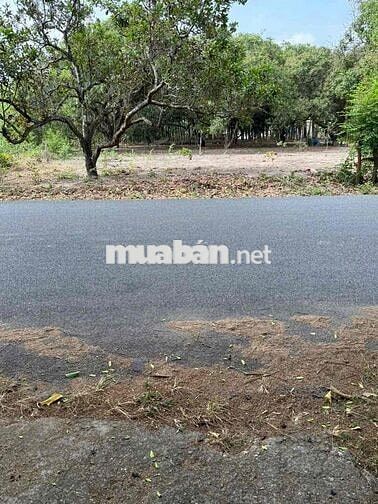 BÁN ĐẤT 439m2 ĐƯỜNG NHỰA CHÍNH KHU PHỐ SUỐI NHUM HẮC DỊCH - GIÁ 2TY900