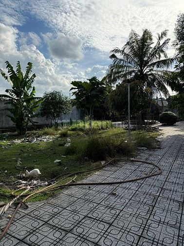 Nhà đất bán¬-1650m2–245m2 thổ cư – nhà kiên cố-sổ hồng-Củ Chi