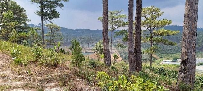 Đất nghỉ dưỡng Xuân Trường Đalat