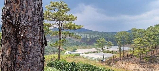 Đất nghỉ dưỡng Xuân Trường Đalat