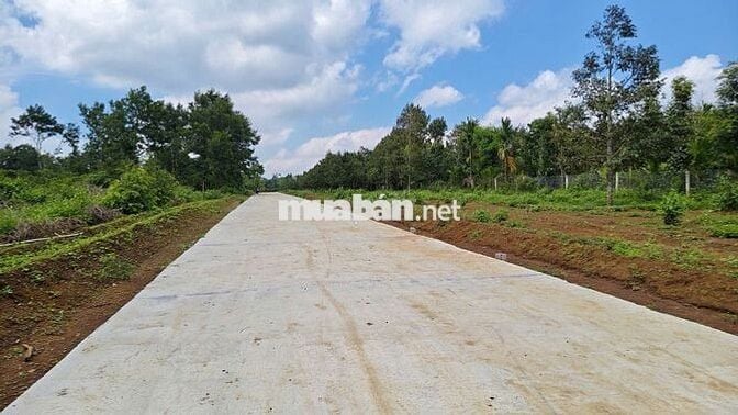 Bán Gấp lô đất kế bên làng doanh nhân CVG