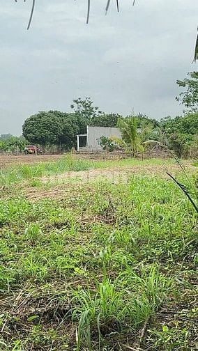  CHÍNH CHỦ BÁN LÔ ĐẤT VƯỜN CÓ SẴN THỔ CƯ  TP. LONG KHÁNH, ĐỒNG NAI 