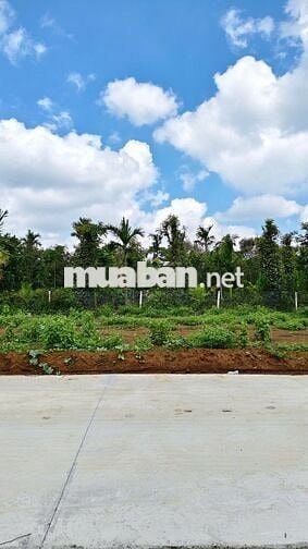 Bán Gấp lô đất kế bên làng doanh nhân CVG