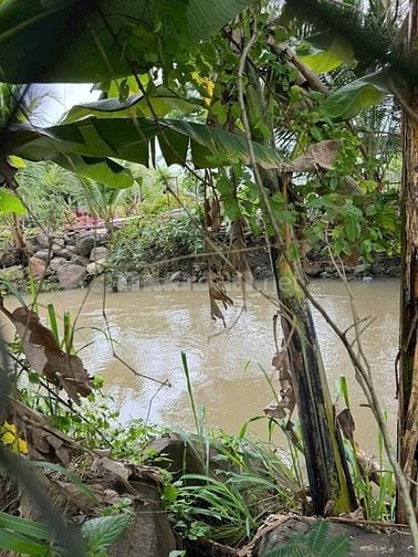  CHÍNH CHỦ BÁN LÔ ĐẤT VƯỜN CÓ SẴN THỔ CƯ  TP. LONG KHÁNH, ĐỒNG NAI 