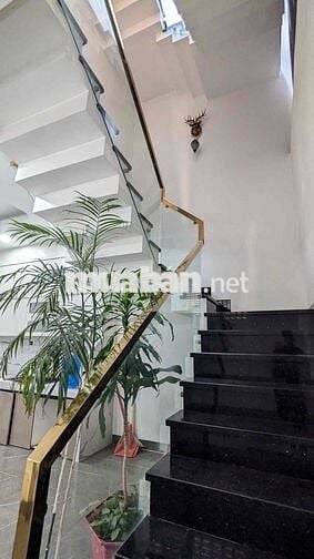 Cho thuê Villa 11pn  HXH Trần Quang Khải - Dĩ An TPHCM.