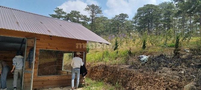 Đất nghỉ dưỡng Xuân Trường Đalat