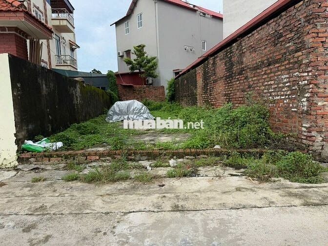 Bán Đất Lô Góc 3 Mặt Thoáng Hiếm Có Tại Chi Đông  - Mê Linh