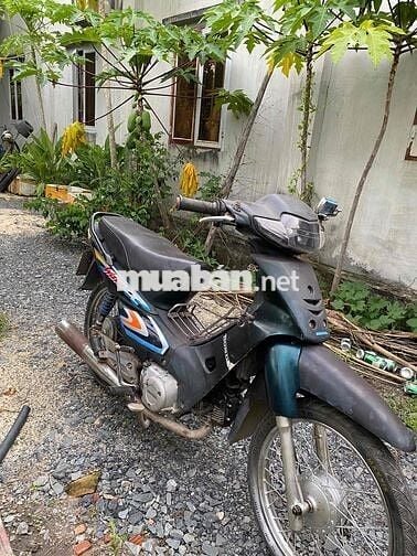 weva may bao mạnh  khỏe hơn trâu bò khô ráo im