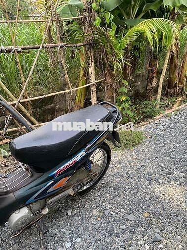 weva may bao mạnh  khỏe hơn trâu bò khô ráo im