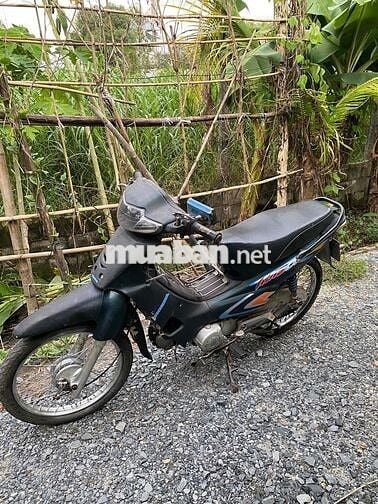 weva may bao mạnh  khỏe hơn trâu bò khô ráo im