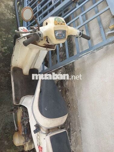 Xe honda hai thì