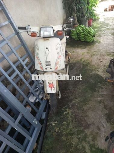Xe honda hai thì