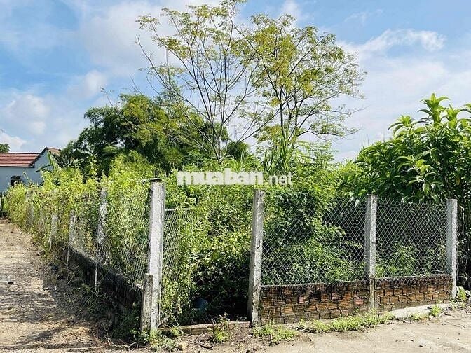 Chỉ với 850tr sở hữu siêu phẩm đất nền  Hoà Vang- ĐN. Chốt ngay nhé ạ