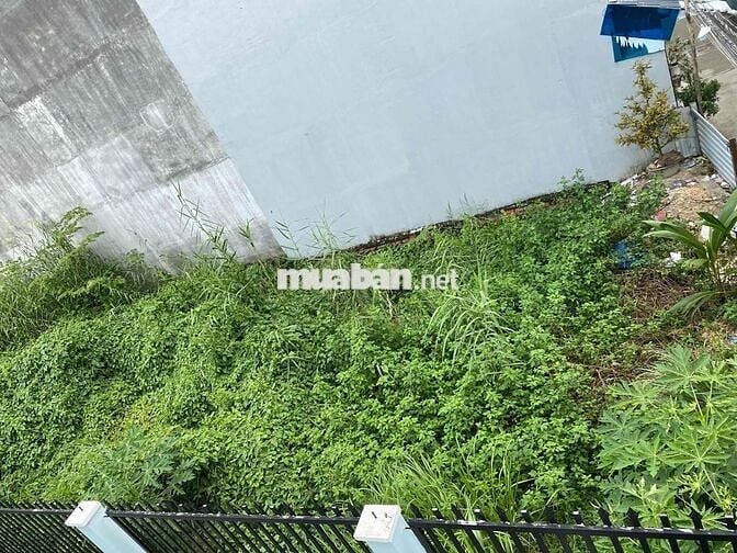 Bán đất 468m2 Phú Xuân - Nhà Bè, TPHCM
