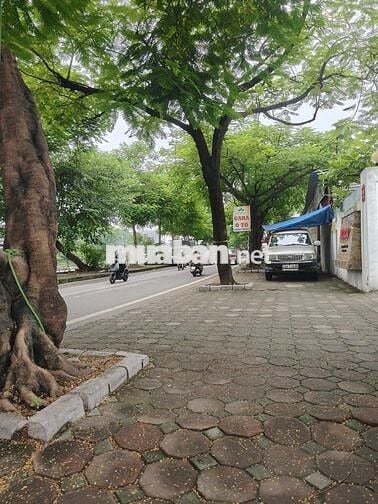 cho thuê n kết hợp kinh doanh hoặc làm xưởng sản xuất