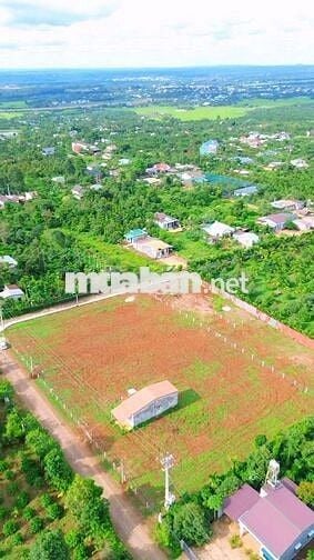 CƠ HỘI VÀNG  SỞ HỮU NGAY ĐẤT ĐẸP TẠI BUÔN KOMLEO, P. TÂN LẬP  DAKLAK