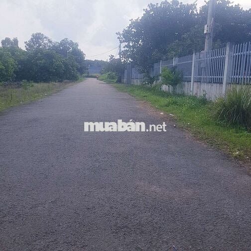 Bán đất trung tâm hắc dịch phú mỹ,dt:13.5x112 tc:100m2 giá 5ty quá rẻ