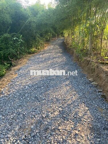 BÁN 1001M2 ĐẤT CÓ SẴN 80M2 THỔ CƯ,CÓ 30M MẶT TIỀN ĐƯỜNG HIỂN THỊ, 750T