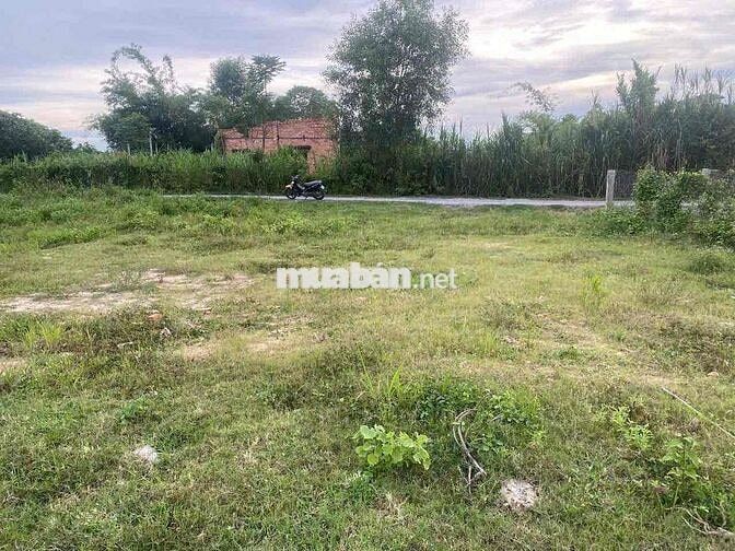 D.TÍCH 5x29.5MÉT CÓ THỔ CƯ SẴN, SỔ RIÊNG NGAY KCN PHƯỚC ĐÔNG H.GÒ DẦU