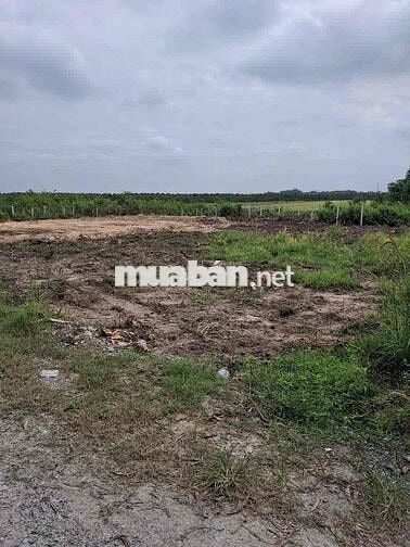 D.TÍCH 5x29.5MÉT CÓ THỔ CƯ SẴN, SỔ RIÊNG NGAY KCN PHƯỚC ĐÔNG H.GÒ DẦU