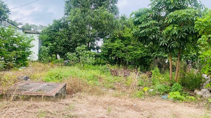 6x28(170m2) 50m2 tc Trưng Trắc Tân An LaGi Giá Đầu Tư