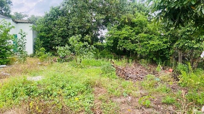 6x28(170m2) 50m2 tc Trưng Trắc Tân An LaGi Giá Đầu Tư