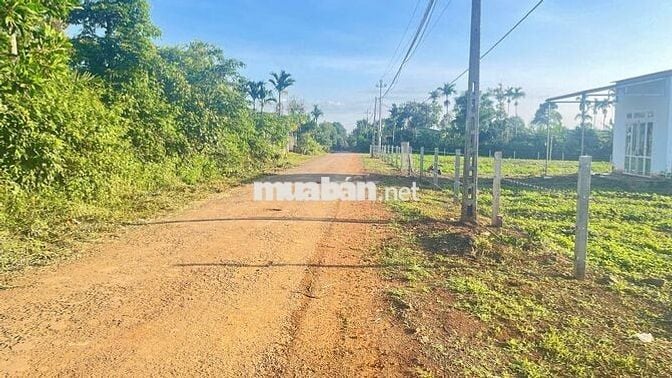 CƠ HỘI VÀNG  SỞ HỮU NGAY ĐẤT ĐẸP TẠI BUÔN KOMLEO, P. TÂN LẬP  DAKLAK