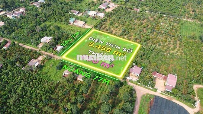 CƠ HỘI VÀNG  SỞ HỮU NGAY ĐẤT ĐẸP TẠI BUÔN KOMLEO, P. TÂN LẬP  DAKLAK