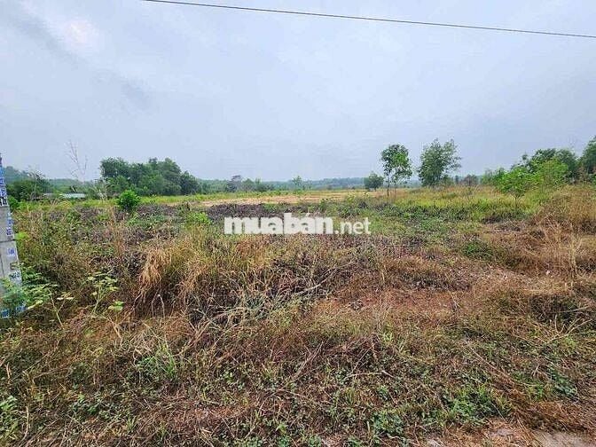 ĐẤT  NGỘP NGÂN HÀNG  CẦN BÁN GẤP
