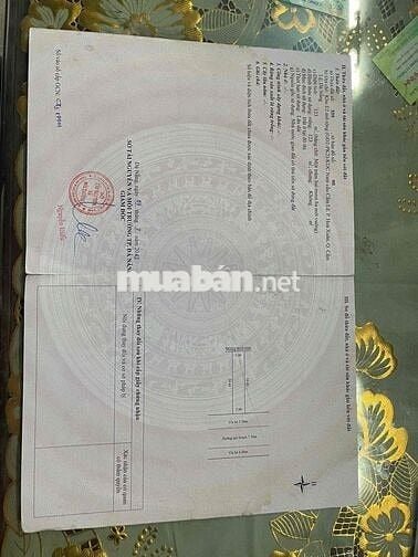 Bán dãy nhà trọ Hoà Xuân, DT 123m2, đường 7m5 Nguyễn Quang Lâm giá tôt