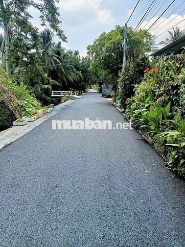 cần bán lô đất đuong nhựa an sơn 20 dt 101m2