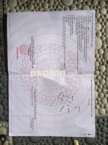 cần bán lô đất đuong nhựa an sơn 20 dt 101m2