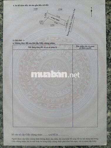🏡 5 Lô Đất Bình Hòa 15 – TP.HCM – 3,2 Tỷ / Lô – 77m² 🏡